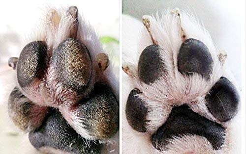 Wiser Pet Bálsamo de Pata Natural para Perros -100% orgánico: suaviza, Cura, repara y Protege Las Patas y narices dañadas