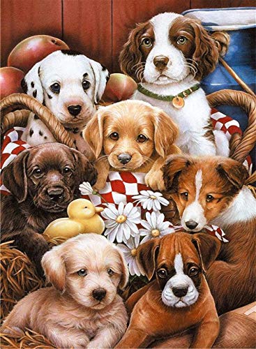 WPHRL Rompecabezas 1000 Piezas Adultos De Madera Niño Puzzle Foto de Perro Animal Juego Casual De Arte DIY Juguetes Regalo Interesantes Amigo Familiar Adecuado