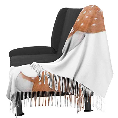 XCNGG Bufanda con flecos de cachemira de imitación chal bufanda larga de moda Women Scarves Winter Soft Wraps Young Adult Cashmere-like Shawl Stole Scarf