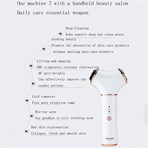 XHLLX Instrumento Eléctrico De Belleza Lifting Facial Reafirmante Vibración Esencia Casera Fría Instrumento De Importación De Iones Instrumento De Masaje Facial Instrumento Facial De Músculo De Hielo