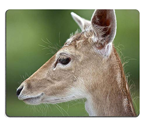 Yanteng Alfombrilla de ráton de Goma Natural Alfombrilla de ratón Venado de Cola Blanca Odocoileus virginianus PM011585