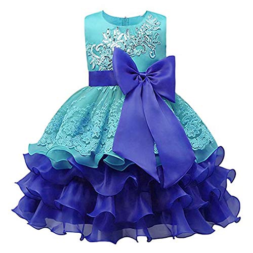 YLLN Organizador de Soporte de brochas de Maquillaje Organizador de Almacenamiento de Maquillaje Transparente para tocadores y baños, con Perla Blanca Gratis