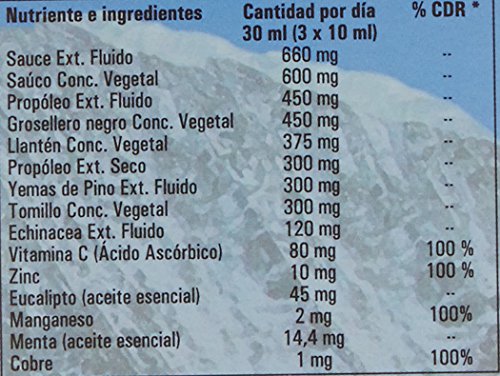 Ynsadiet Jarabe Pino con Echinácea - 250 ml