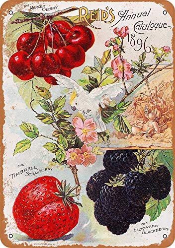 Yohoba 1896 id'S Catálogo de Semillas de Frutas, Aspecto Vintage, 12 x 18 Pulgadas, letreros de Metal