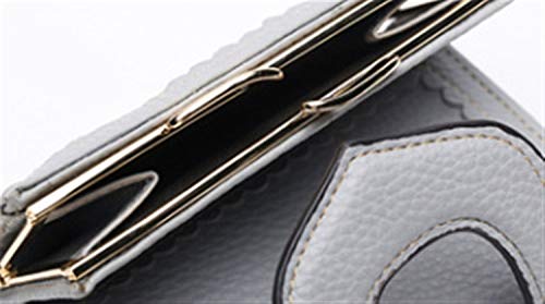 YuJian12 Cartera de Lichi de Moda para Mujer, Billetera de Encaje con Hebilla Cremallera Bolsa de la Moneda (Color : Medium Gray)