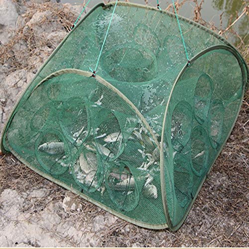 ZMMWDE 21 Hoyos Rede Plegable Red de Pesca Red de Pesca de cangrejos Red de Pesca Fundición Camarones Redes de Pescado Langostas Jaulas de Trampa de Cangrejo