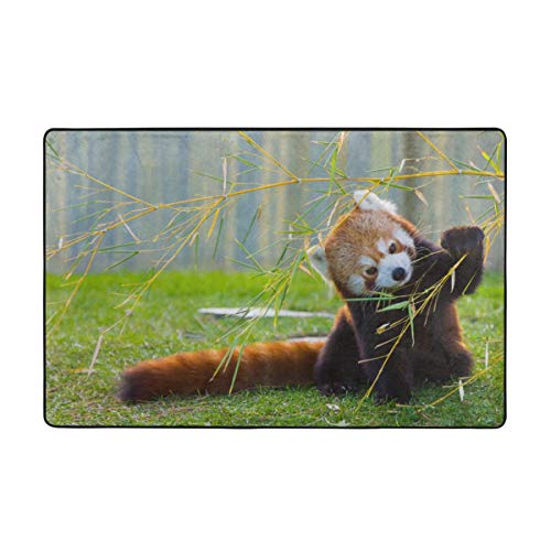 ZUL Alfombra Antideslizante de Baño,Lindo Panda Rojo en el Campo Jugando con Ramas de bambú montañas nativas del Himalaya,Súper Suave Multiuso Lavable a Máquina75x45cm
