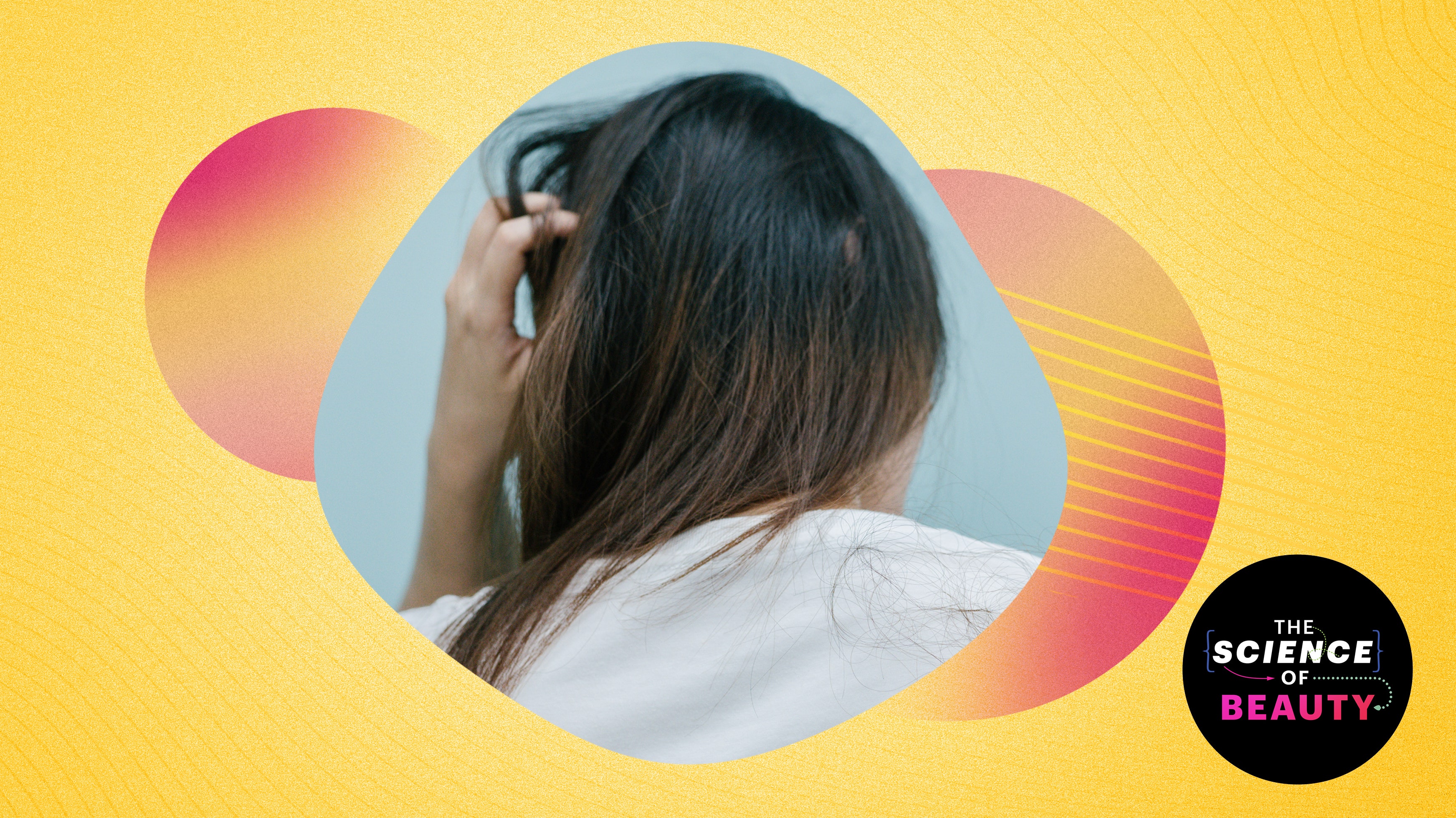 Aquí está cómo resolver todos sus problemas de cuero cabelludo