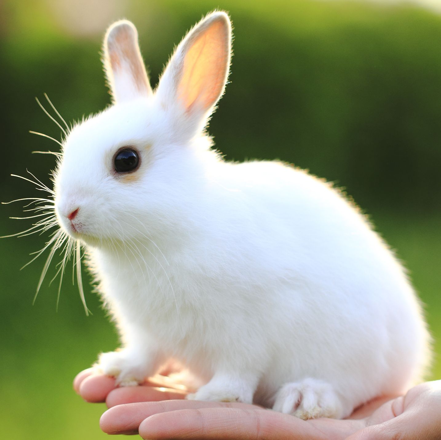 ¿Qué es la Belleza Limpia? El verdadero significado, según los científicos de la belleza