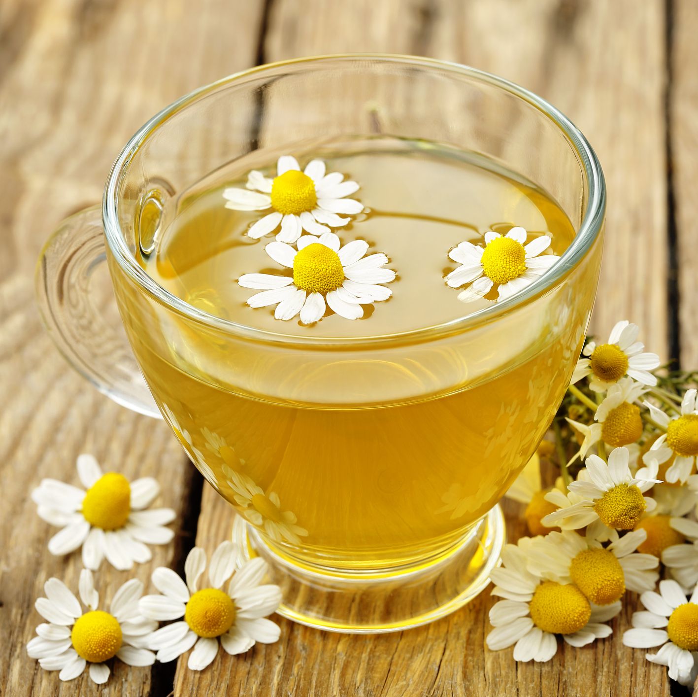 best tea for cold - chamomile
