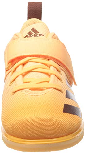 adidas Powerlift 4, Zapatillas Halterofilia Mujer, NARACI/SEPSIL/NARBRU, 38 EU