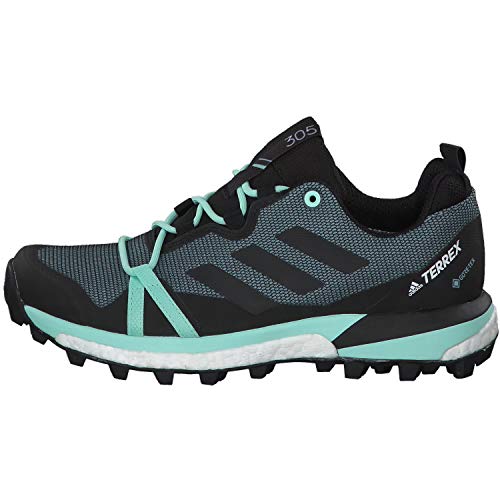 Adidas Terrex Skychaser LT GTX W, Zapatillas de Deporte Mujer, Multicolor (Gricen/Negbás/Mencla 000), 37 1/3 EU