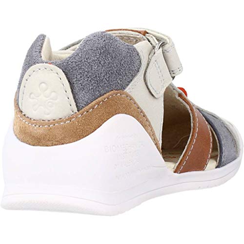 BIOMECANICS CANGREJERA Dinosaurio Unisex-Adulto Hielo 18