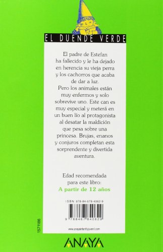 Con las botas puestas (LITERATURA INFANTIL (6-11 años) - El Duende Verde)