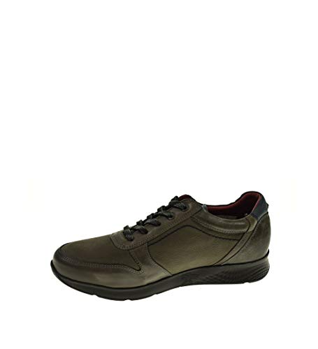 Cordon/Blucher - Hombre - Gris - fluchos - F0645-40