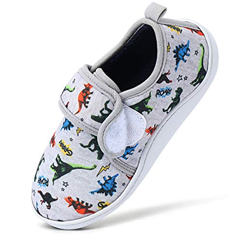 Dream Bridge Zapatillas de Casa para Niños con Velcro y Suela Antideslizante Dinosaurio
