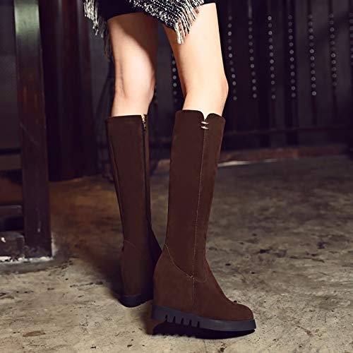 EveKitty Mujer Tacón de Cuña Rodilla Botas Cremallera Cuña Interior Botas Plisadas Shenzong Size 39 Asiática