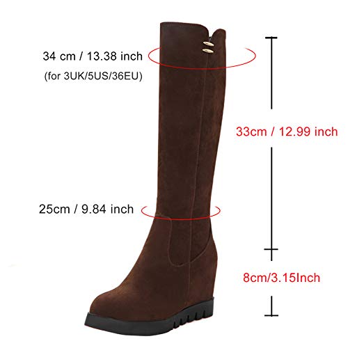 EveKitty Mujer Tacón de Cuña Rodilla Botas Cremallera Cuña Interior Botas Plisadas Shenzong Size 39 Asiática