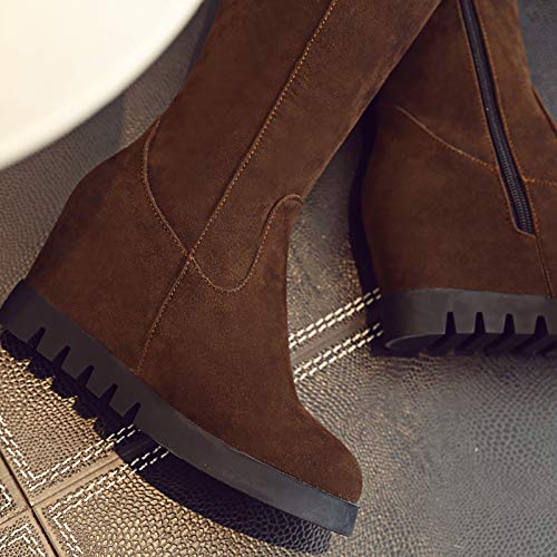 EveKitty Mujer Tacón de Cuña Rodilla Botas Cremallera Cuña Interior Botas Plisadas Shenzong Size 39 Asiática