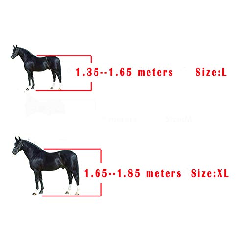 Fayeille Botas Pierna Caballo 4 Piezas Equipo equitación Ecuestre Deportivo Delantero Delantero al Aire Libre Salto Equitación Entrenamiento Anti arañazos Banda Ajustable PU Shell Protector(LNegro)