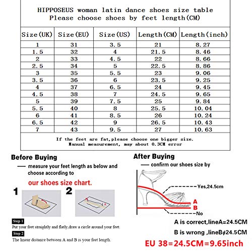 HIPPOSEUS Zapatos de Baile de salón Latino para Mujer con Strass Zapatos de Fiesta de Salsa de Tango Modernos,ESAF40902,Marrón Color,EU 39