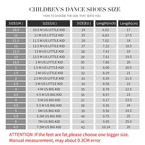 HIPPOSEUS Zapatos de Baile para niña Salón de Baile Latino Práctica de Baile Zapatos de tacón bajo 3.5CM,ES202,Beige,EU 30