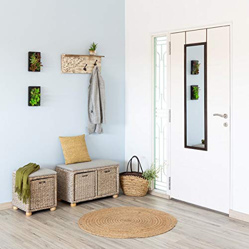 Lola Home Espejo de Puerta Moderno de plástico de 35 x 125 cm (Marron)