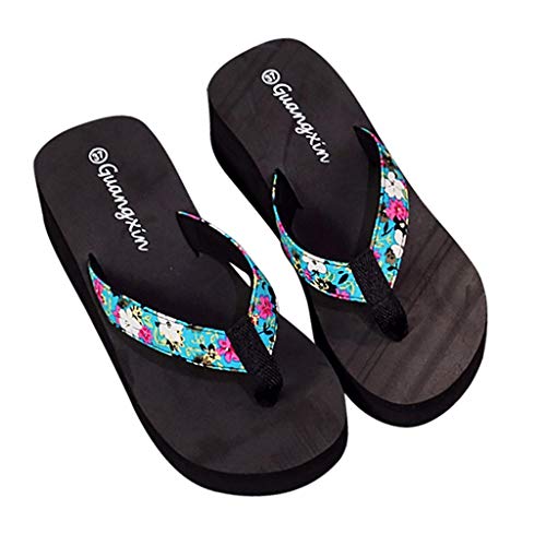Luckycat Chanclas Zapatillas de Playa de tacón Alto Beach Sandalias de Mujer de Desgaste Exterior de Verano Sandalias Antideslizantes con Fondo Grueso Casual Zapatillas de casa