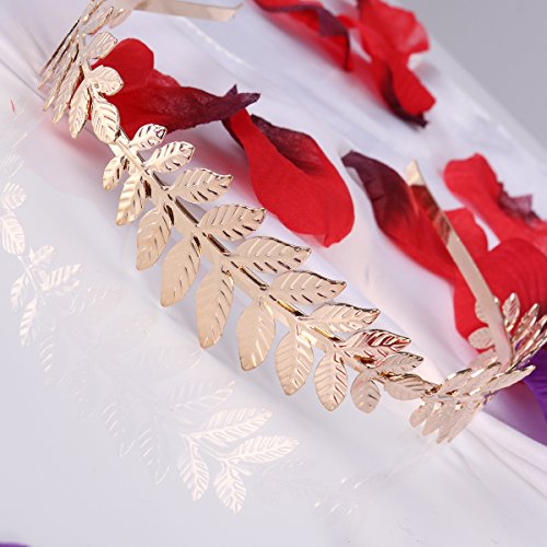 LUOEM Corona de pelo nupcial Diosa romana rama de la hoja Dainty banda de pelo banda tiara (oro)