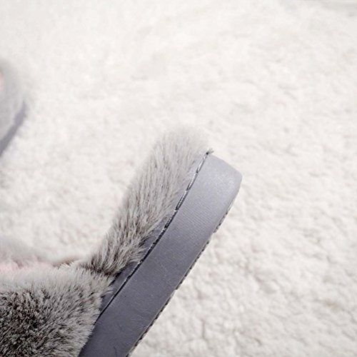 LUOEM Zapatillas de Estar por Casa Zapatillas Peluche Invierno Antideslizante Pantuflas Zapatillas Garras de Animal Mujer (Patas Gato Gris Claro)