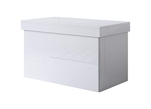 muebles bonitos Baúl Zapatero Dorian en Color Blanco