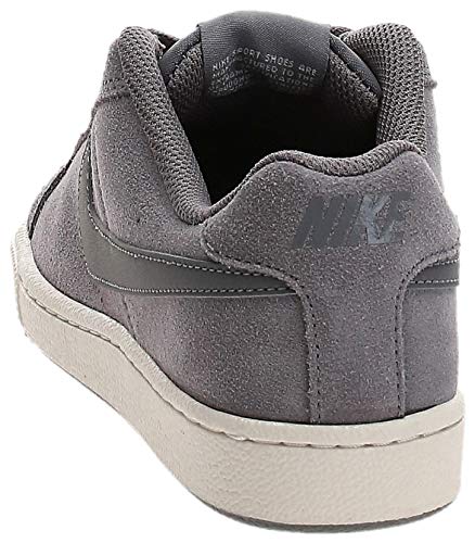 Nike Wmns Court Royale Suede, Zapatillas de Gimnasia Mujer, Gris (Gunsmoke/Gunsmoke/Phantom 004), 36 EU
