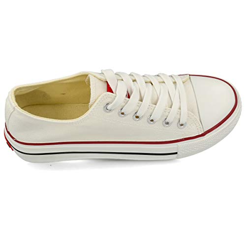 PAYMA - Zapatillas Bambas Botas de Lona Mujer. Puntera de Goma. Playeras de Deporte Casual y Caminar. Piso Doble o Sencillo. Negras Blancas Rojas Azul Jeans