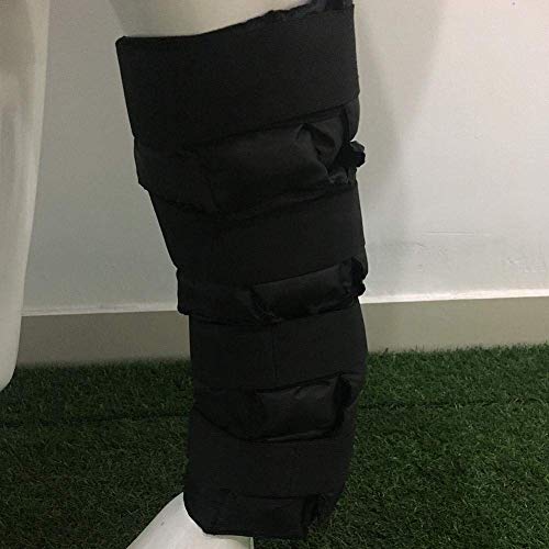 Piaoliangxue Bolsa de Envoltura de Hielo - Bota de Hielo para Caballo de enfriamiento - Protector de Pierna Ecuestre Paquete frío - para Enfriar y aliviar el Dolor con 24 Bolsas de Hielo pequeñas (A)