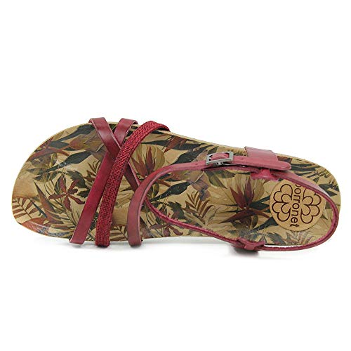 PORRONET - Porronet 2531 Burdeos - 38