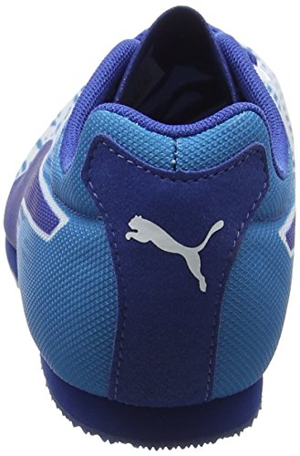 Puma Evospeed Star 5.1, Zapatillas de Running para Asfalto Unisex Adulto, Blanco White-Blue Danube-True Blue, 43 EU