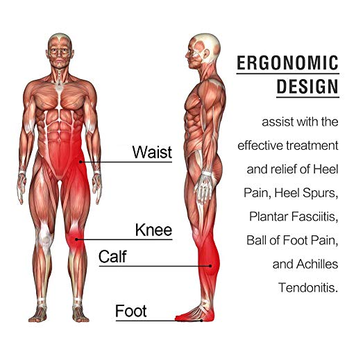 Quinone Plantillas ortopédicas, soporte deportivas plantillas, para ayudar a reducir el dolor en el talón, fascitis plantar, rodilla/dolor de espalda y tendinitis de Aquiles (EUR M (40-43))