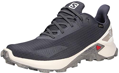Salomon Alphacross Blast GTX, Zapatillas De Trail Running Impermeables Hombre, Color Gris Ebony Vanilla Ice Vintage Kaki, 40 EU