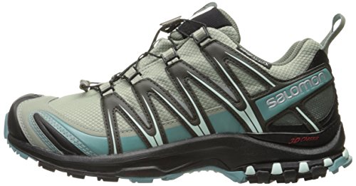 Salomon Women's XA Pro 3D CS Waterproof W Trail-Runners, Shadow, 10.5 M US