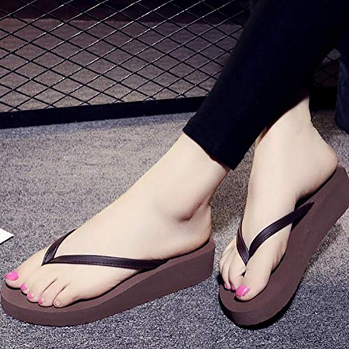 SHANGLY Verano Playa Cuña Chanclas Mujeres Boho Moda Casual Cinturón de PU Sandalias,Brown,33/34