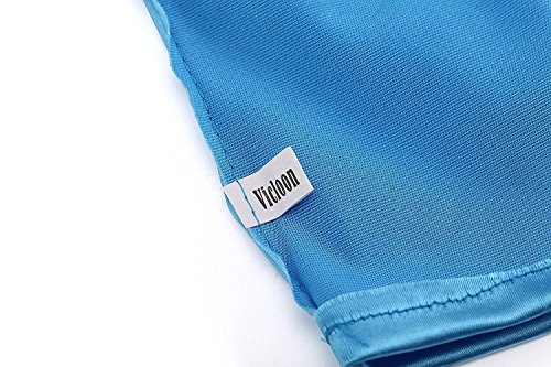 Vicloon 5pcs Conjunto con Accesorios de Princesa del Hielo Elsa con Trenza/Corona/Sceptre/Anillo/Pendientes/Guantespara niña, 2-9 años（Azul)