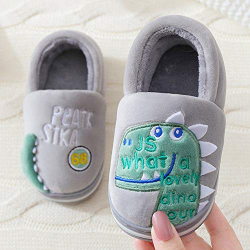 Zapatillas de Estar por Casa para Niños Niñas Pantuflas Invierno Casa Caliente Peluche de Zapatilla Slipper Interior Gris 20=27-28EU