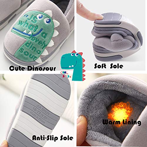 Zapatillas de Estar por Casa para Niños Niñas Pantuflas Invierno Casa Caliente Peluche de Zapatilla Slipper Interior Gris 20=27-28EU