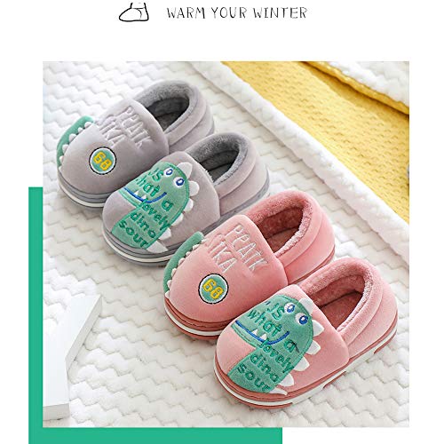 Zapatillas de Estar por Casa para Niños Niñas Pantuflas Invierno Casa Caliente Peluche de Zapatilla Slipper Interior Gris 20=27-28EU