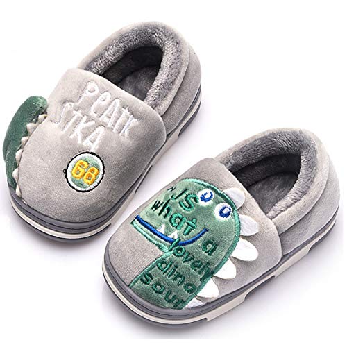 Zapatillas de Estar por Casa para Niños Niñas Pantuflas Invierno Casa Caliente Peluche de Zapatilla Slipper Interior Gris 20=27-28EU