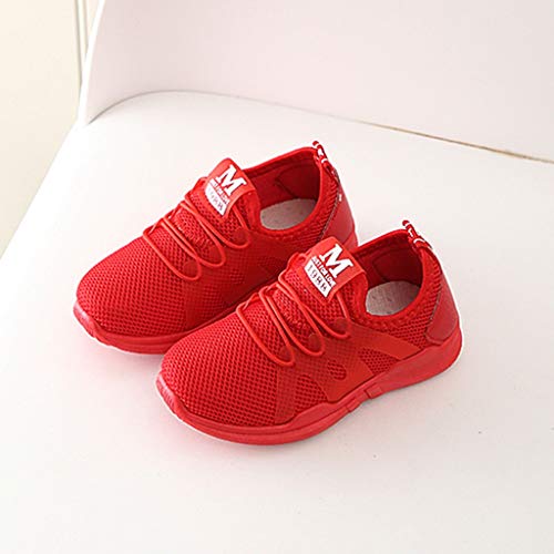 Zapatillas para Niños Niñas Deportivas Verano 2019 PAOLIAN Zapatos de Deportes Niños Unisex Otoño Running Casual Suela Blanda Baratas Calzado Vestir Niñas Antideslizante 26-34 EU