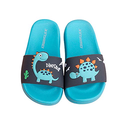 Zapatos de Playa y Piscina para Niña Niño Chanclas Sandalias Mujer Verano Antideslizante Zapatillas casa Hombre Zapatillas de Animal (Azul, Numeric_24)