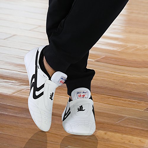 Zapatos de Taekwondo, Zapatos Antideslizantes de Artes Marciales, Artes Marciales Zapatilla de Deporte de Boxeo Karate Kung Fu Zapatos de Tai Chi de Rayas Negras Ligeros para Hombres Mujeres Niños(42)