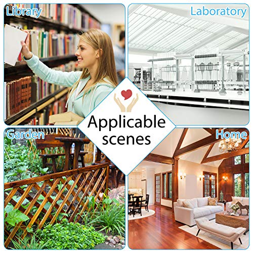 200 Piezas Cubiertas de Zapatos Desechables Cubiertas de Botas Impermeables CPE Fundas de Zapatos Antideslizantes con Caja de Almacenamiento para Protección de Piso de Alfombra Interior Exterior