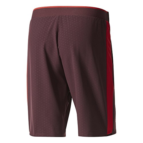 adidas Bar. WV Pantalón de Tenis, Hombre, Morado (borosc/Escarl), XL